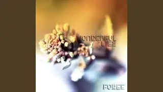 Wonderful Lies