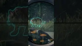 ОНИ ВСЕ НАПАЛИ НА МЕНЯ ОДНОВРЕМЕННО 😳😳 #cotwgameplay #cotw #thehunter