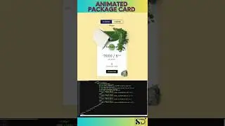 3D Animated Package Card Design | HTML & CSS| SDSQUAR Solutions 
