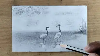 Crane Birds Scenery Drawing | Pencil drawing for beginners