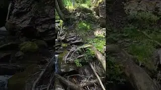 Magical River Flight | #HTTYD #NatureFantasy #DroneCinematic #MountainStream