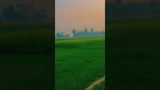 Chahat me do jaha hm bhola baithe #saferyatri #love #village #look #shorts