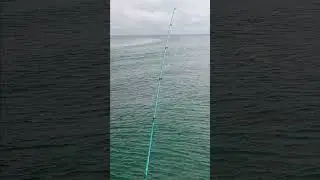 boynton Beach. inlet #fishing