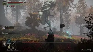 Elden Ring - Wormface - 4K 60FPS