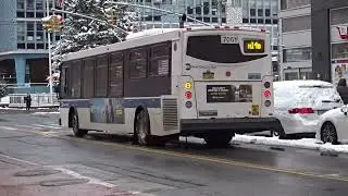 MaBSTOA Special: Nova LFS #8895 On A Chelsea Piers & Lower East Side-bound M14D +SBS+