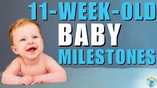 Этапы развития 11-недельного младенца