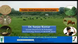 Forage Seed Production Technologies