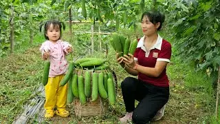 Harvesting With My Daughter Sponge Gourd go to market sell - Cooking With My Daughter | Lý Mai Ca