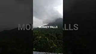 Monkey Falls Aliyar