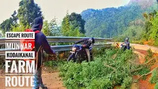 vattavada to Kodaikanal || Escape Route  | IIlegal Route