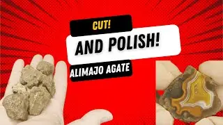 Alimajo Agate Cutting