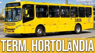Terminal Hortolândia (Jundiaí/SP) - Movimentação de Ônibus #250