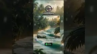 Wildrest - Tide Meets Canopy 🌿🌊 | Nature Lo-fi #shorts  #deepfocus #music #epicsoundtrack