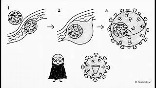 History and Morphology of Viruses Viruses  Ultimate Survivor