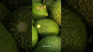 Ultimate Daily Trivia Quiz - Test Your Knowledge #gktrivia #quiz #funtrivia