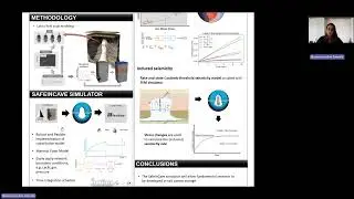 Salt caverns for energy storage: stability and induced seismicity