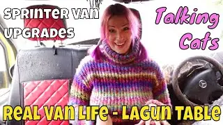 Lagun Table Installation - Real Van Life - Lockdown Boredom - Speaking Cats! Sprinter Van Upgrades