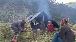 This Himalayan sheep shepherd During The Heavy Rainy Season l Daily Activities People in Nepal