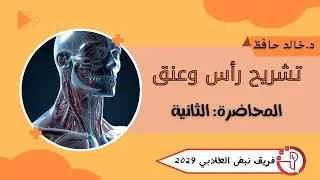 تشريح الرأس والعنق-المحاضرة الثانية-د.خالد الحافظ