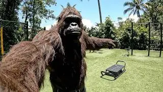 Bigfoot Workout in Bali 🏝️ – Ice Baths, Boxing & Mayhem