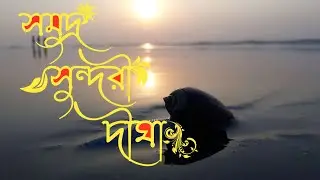 Digha After lock Down । Digha tour Sep 2021 । New Rules of Digha । দীঘা ভ্রমন । TRAVELOGUE । Vlog 1