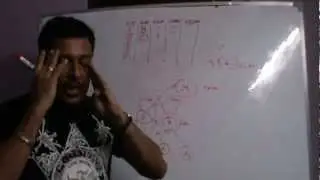 Empower Network Compensation Plan In Hindi