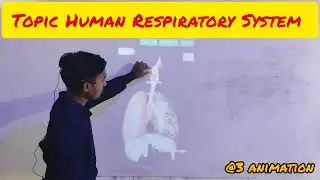 #Human Respiratory System#मानव श्वसन तंत्र @3danimation Best concept
