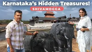 A Journey Through Chandramauleshwara Temple & Unique Cow Breeds