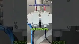 Gummies packaging machine, automatic counting quantity and filling in bags