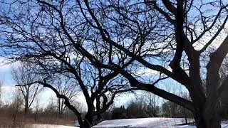 Winter in Eagan, Minnesota