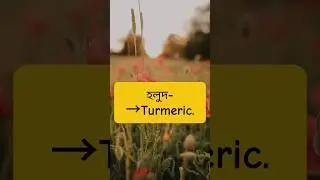 প্রয়োজনিও ইংরেজি শিখি।#learning #english