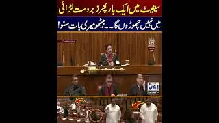 Dr  Zarqa and Senator Danesh Kumar I City 41    #shorts #breakingnews #pakistan
