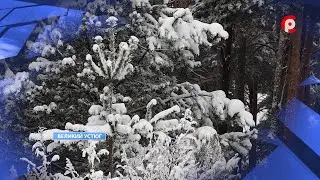 Weather for New Year's