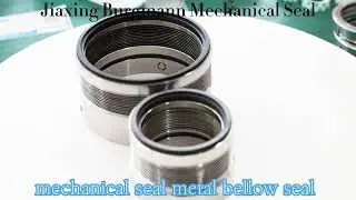 Bellow Mechanical Seal