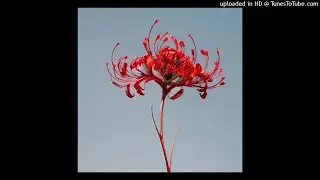 [free for profit] lovemusic + ambient type beat 