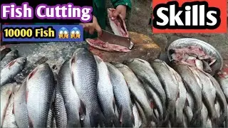 Fish Cutting Skills | fish cutting in Pakistan