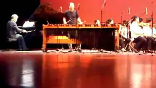 Piano meets Vibes-Reich Sein