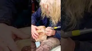 The time consuming process of 