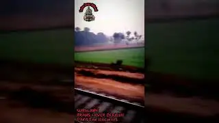 A View of the Green Fields from the Morning Train | Trains Lover Official | #Shorts