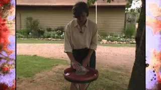 Summer Bird Bath Basics