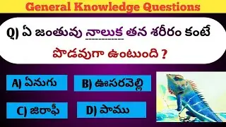 Interesting questions in Telugu || జనరల్ నాలెడ్జ్ ప్రశ్నలు|| general knowledge questions in Telugu