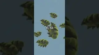 Tardigrades, most endurable creatures #shorts #education