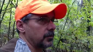 Harvesting a Big Doe in the Thicket