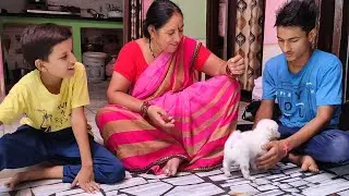 Oreo Playing With Family 😍 First Time