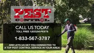 Top Pest Control | Pest Extermination Experts | 1-833-56-PESTS