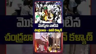 మొక్కలు నాటిన చంద్రబాబు - పవన్ కళ్యాణ్ | Chandrababu & Pawan Kalyan Planted Trees  | Top Telugu TV