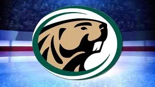 BSU Hockey Teams Winless on Saturday