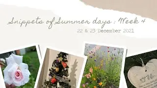 Snippets of Summer Days  WEEK 4  22 & 23