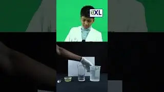 Oil and Water Separation | Simple Science Experiment for Kids Kids