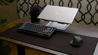 OLIXIS Standing Desk REVIEW | Budget Friendly and Functional